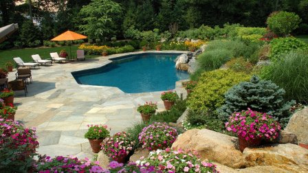 Pool with purple flowers, shrubs and plants