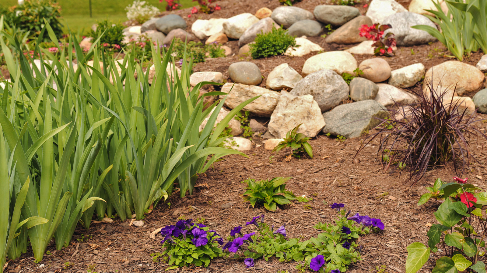 Best Landscapers On Angie S List