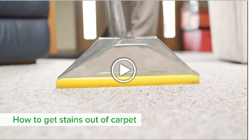 how to house a stubborn how to get stubborn stains out of carpet carpet the honoroak how to house a stubborn how to get stubborn stains out of carpet carpet the honoroak