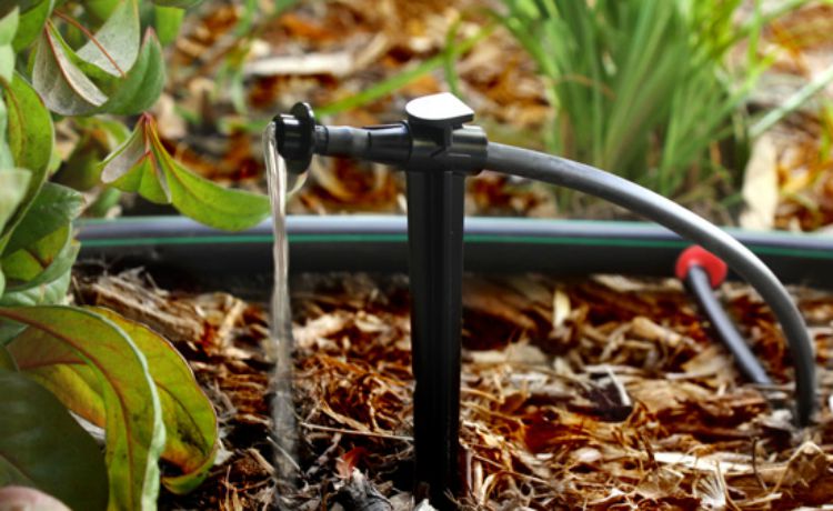 Drip Irrigation Cuts Down Yard Work Water Usage Angie S List