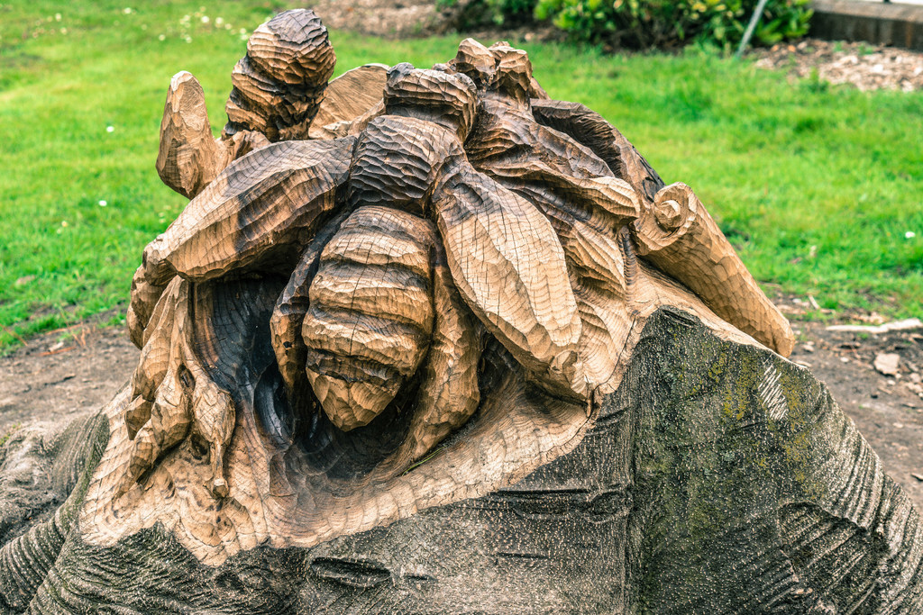 Tree Stump Ideas For Your Yard Angie S List