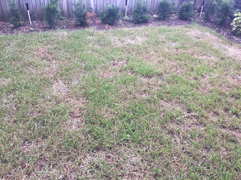 Stop Killing Your Gr 5 Tips Lawn Wants You To Follow Stop Killing Your Gr 5 Tips Lawn Wants You To Follow Angie S List