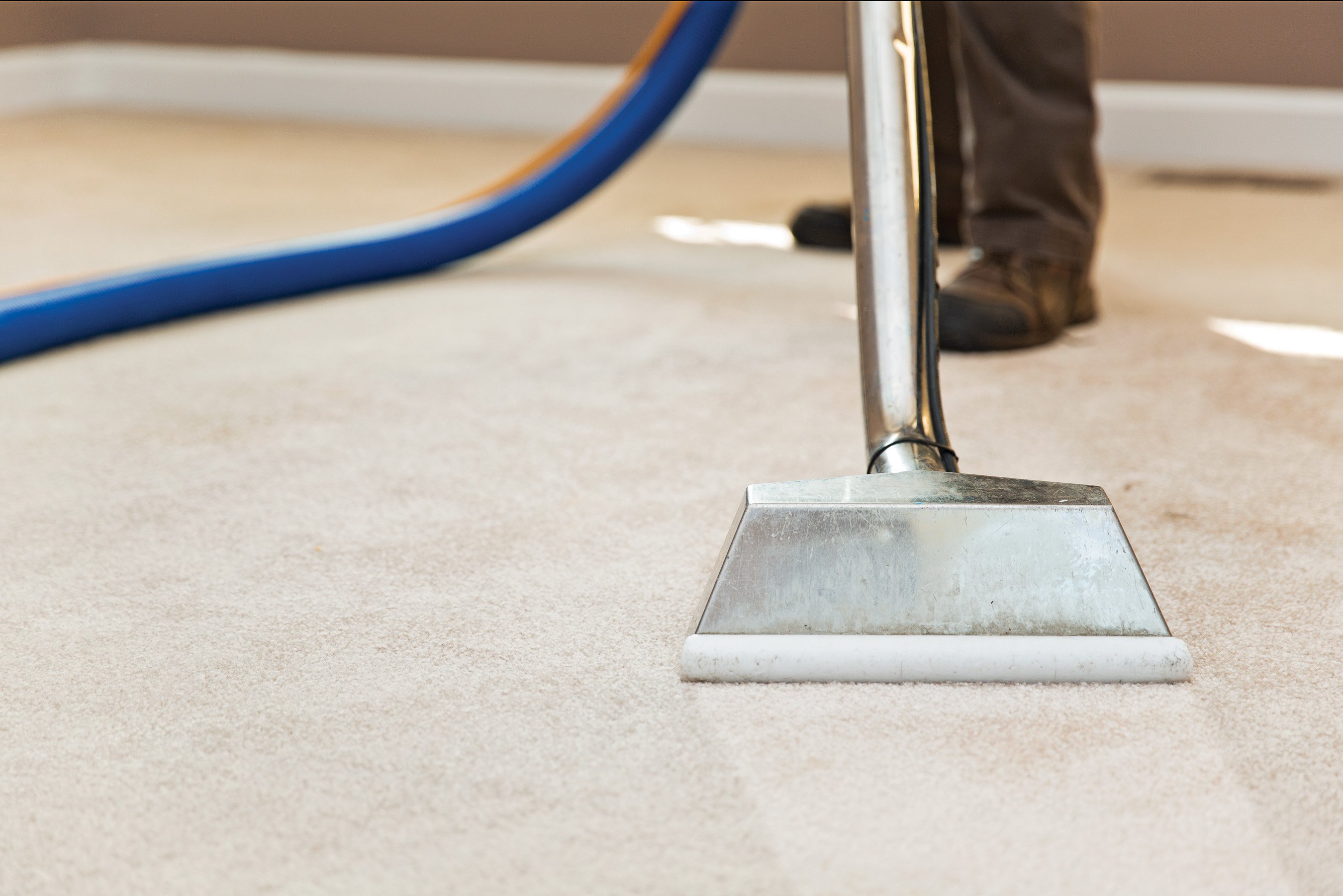 carpet cleaning