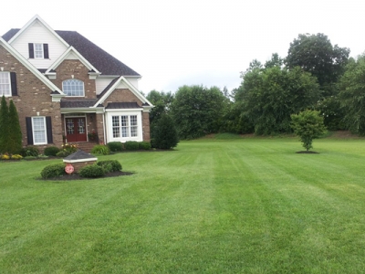 Top 6 Best Shirley Ma Landscaping Companies Angie S List What Is Thatch And How Does It Impact My Lawn