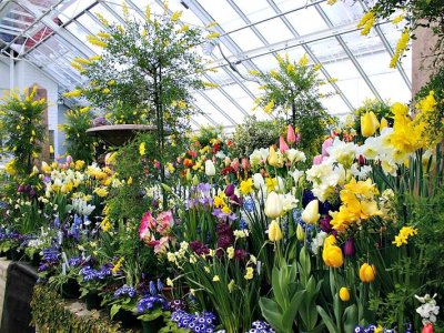 Top 10 Best Indianapolis In Nurseries Angie S List Top 10 Best Indianapolis In Nurseries