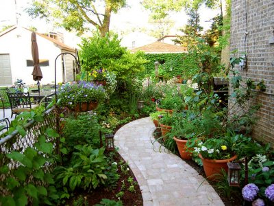 Top 10 Best Indianapolis In Lawn Care Services Angie S List Tips For Ordering Plants Online