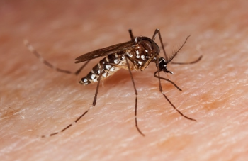 new chicago area west nile virus case brings advice to prevent new chicago area west nile virus case brings advice to prevent