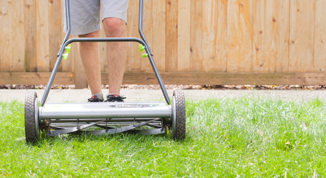 mowing grass planted from seed
