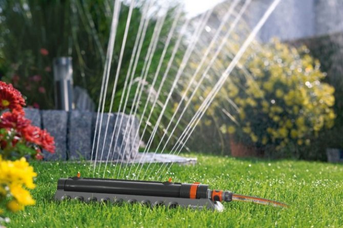 Auto Repair Garages Near Me >> How Often Should You Water Your Lawn? | Angie's List Auto Repair Garages Near Me >> How Often Should You Water Your Lawn? | Angie's List
