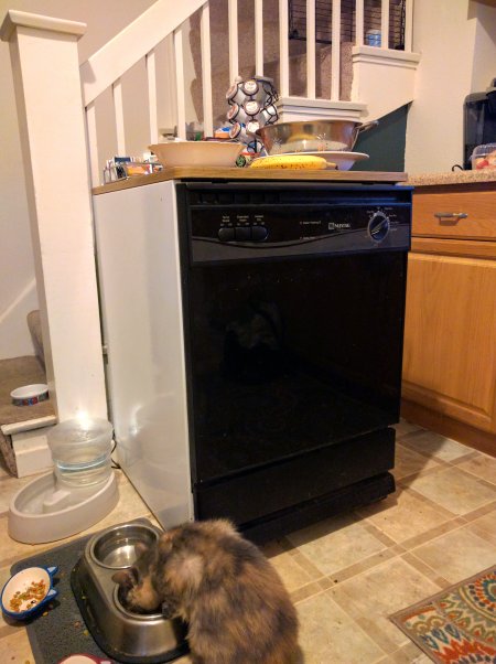 Maytag portable dishwasher in the kitchen of a 1905 American Foursquare home in Kansas City, Missouri