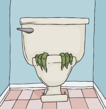 Can a Snake Come Up Through the Toilet? | Angie\'s List Can a Snake Come Up Through the Toilet? | Angie\'s List