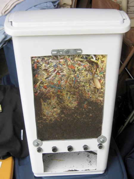 Vermicomposting Using Worms To Make Compost Angie S List Using Worms To Make Compost