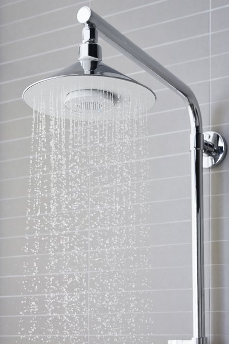 Kohler Moxie shower head.