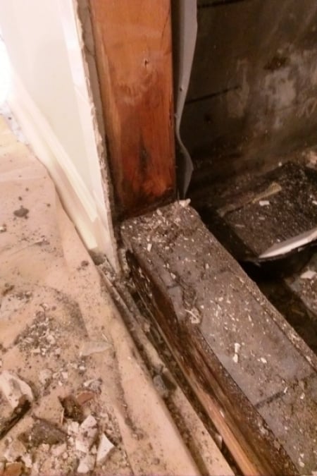 Is Your Shower Tile Really Waterproof Angie S List Mold In Shower Underneath Tile