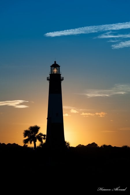 palm tree light house silhouette at sunset