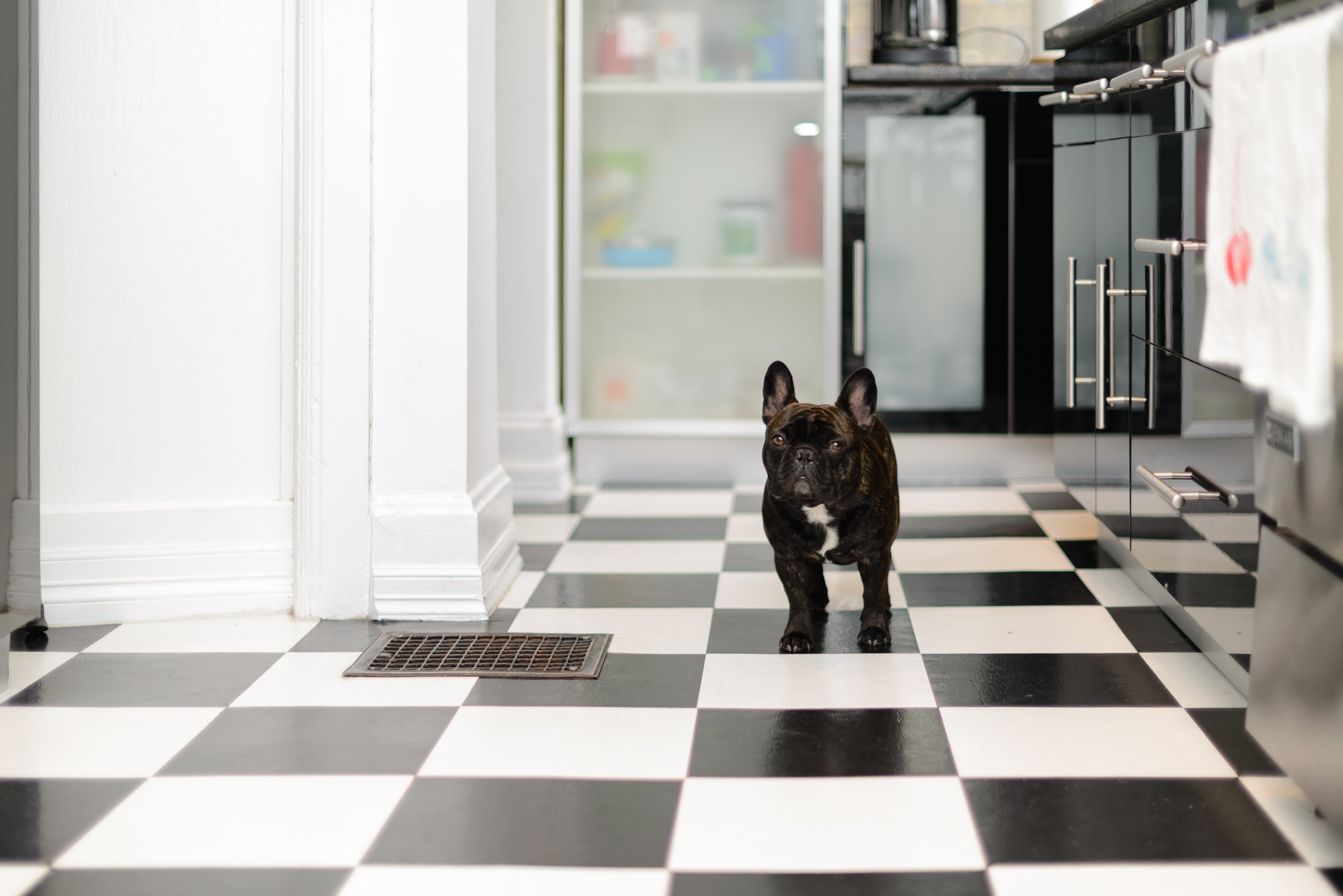 Kitchen Flooring Ideas Angie S List Black And White Kitchen Flooring