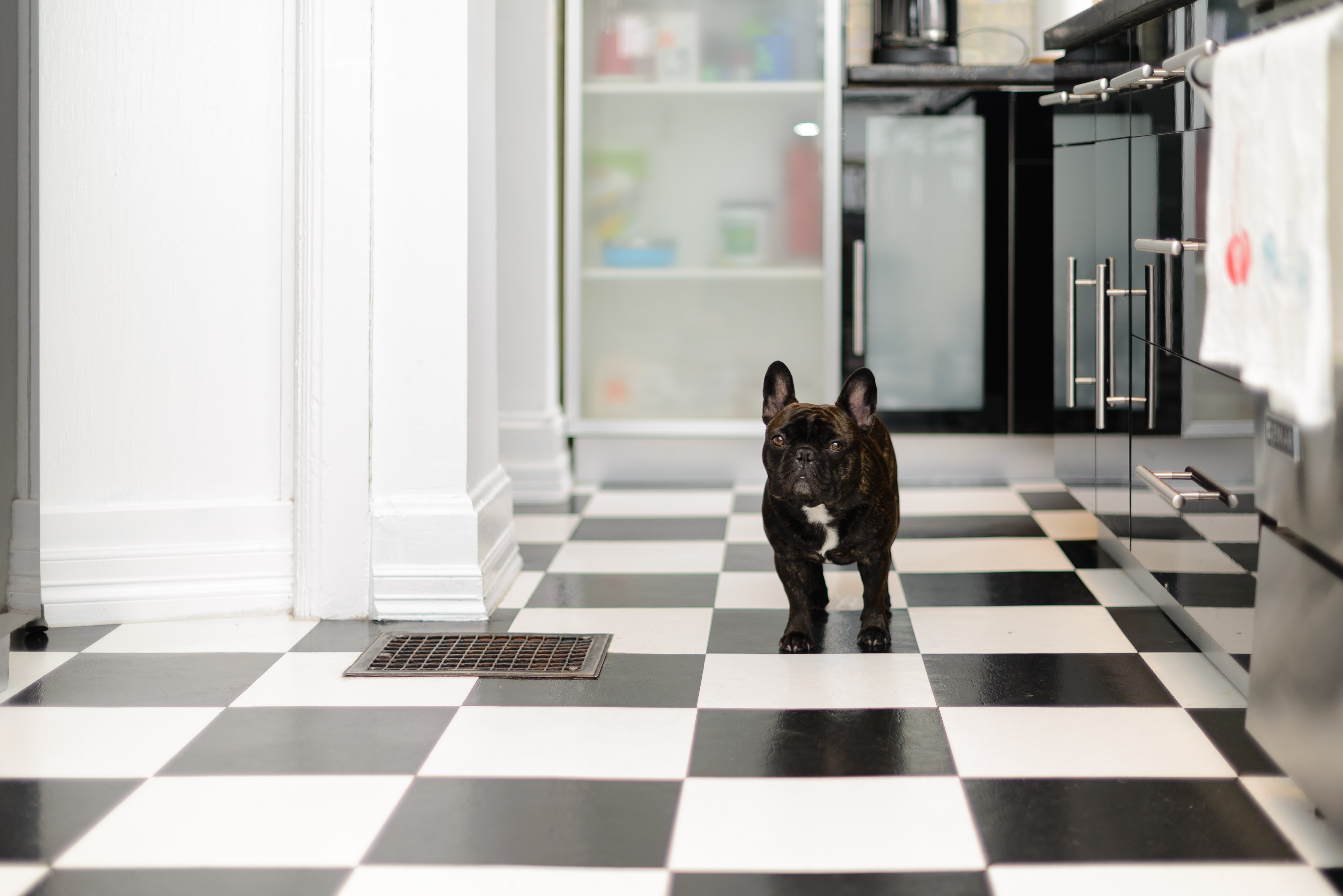 Charming Black White And Brass Kitchen Renovation Kitchen