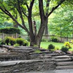 lush green landscaped lawn