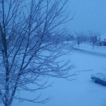 Garage door screen cost