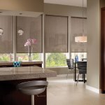 solar shades on south facing windows