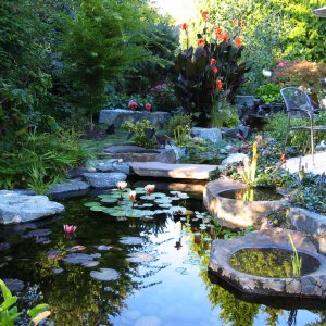 Emily Simpson Angie S List A Pond Makes Beautiful Water Feature To Any Landscape Photo Courtesy Of Clic