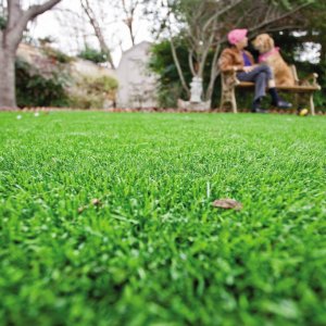 How Much Does It Cost To Lay Sod Angie S List Green Gr With A Man And Dog Sitting In S Chair The Distance