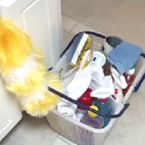 how to find trustworthy cleaning services angie s list find house cleaner