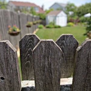 Fences Guide To Fencing Costs Materials Angie S List Fence Enclosing A Yard