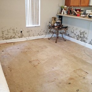 How To Clean Mold Mistakes Avoid Angie S List Home Contaminated With Mold