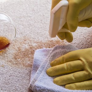 gloved hands cleaning a wine stained carpet