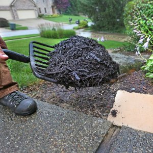 yard mulching tips landscaping lawn