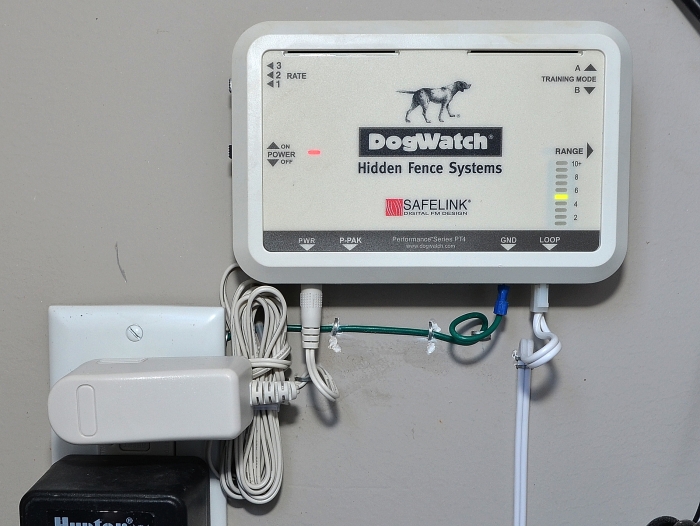 Is a Hidden Fence Right for Your Dog? Angie's List