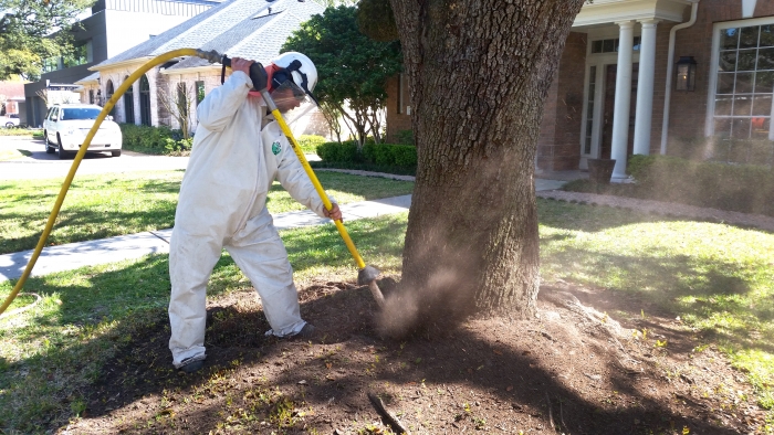 tree crew member treating base of tree