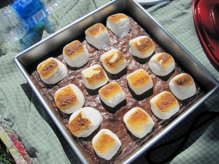 brownies in pan at picnic