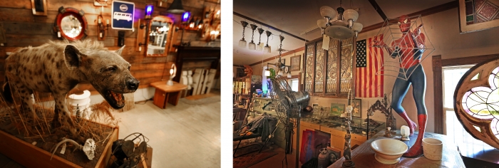 taxidermy hyena and spiderman inside salvage stores
