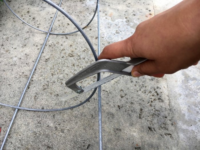 Remove the stakes so the tree stands upright. (Photo by Melissa Riker/The Happier Homemaker)