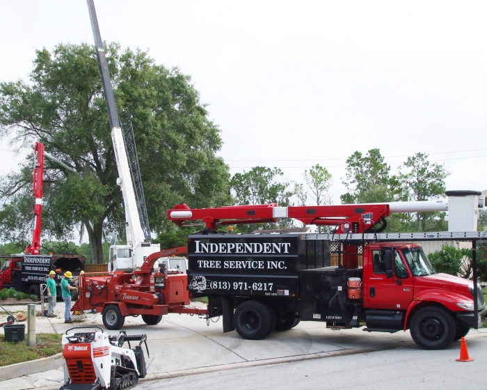tree trimming truck with crew standing nearby