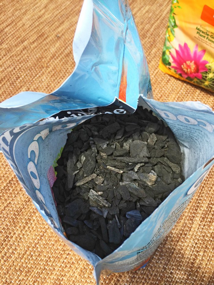 activated charcoal for DIY terrarium
