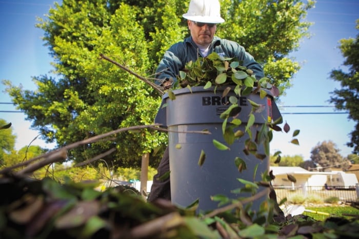 Tree trimmer