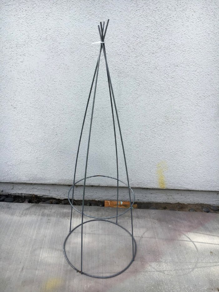 A simple zip tie will keep your tree in the correct shape. (Photo by Melissa Riker/The Happier Homemaker)