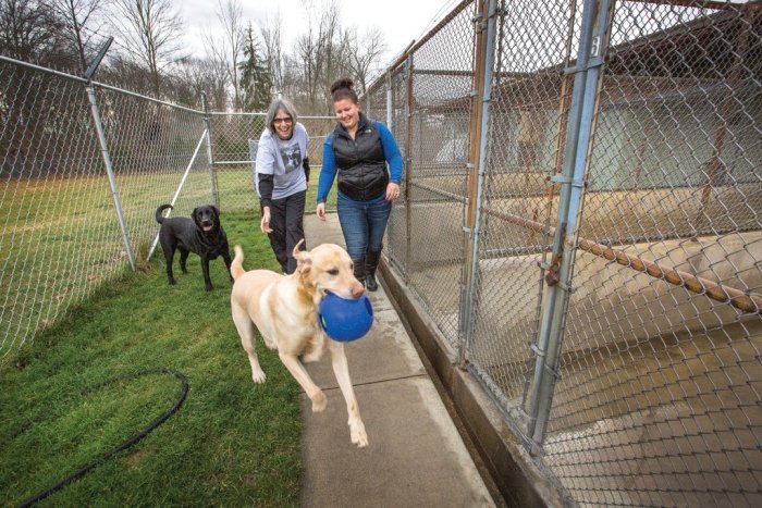 Teresa Daniels and Lisa Johnson of Country Lane Kennel in Pendleton, Indiana playing with Labradors.