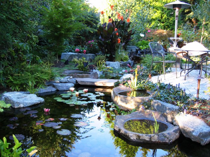 backyard pond garden with flowers and stones