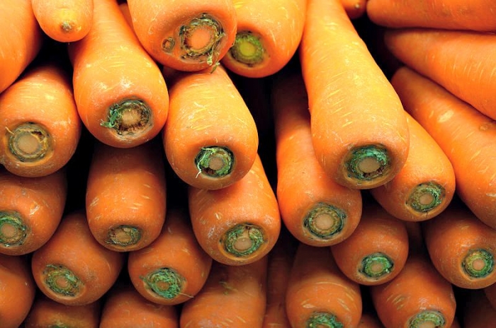 bunch of carrots