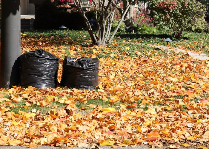 Fall Home Maintenance Schedule, Checklist Angie's List