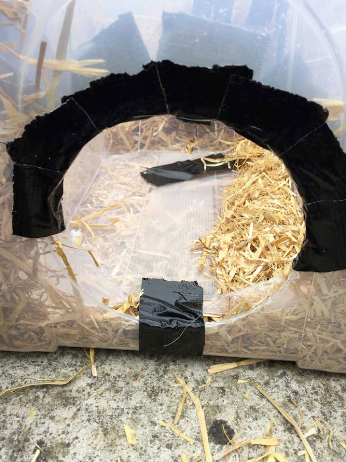 making DIY feral cat shelter