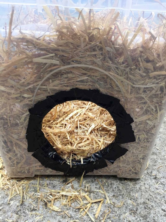 making DIY feral cat shelter