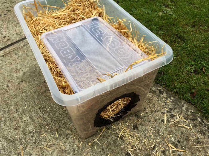 How to Build a Feral Cat Shelter for Winter | Angie's List