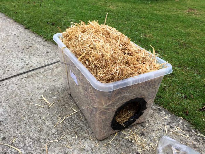 making DIY feral cat shelter