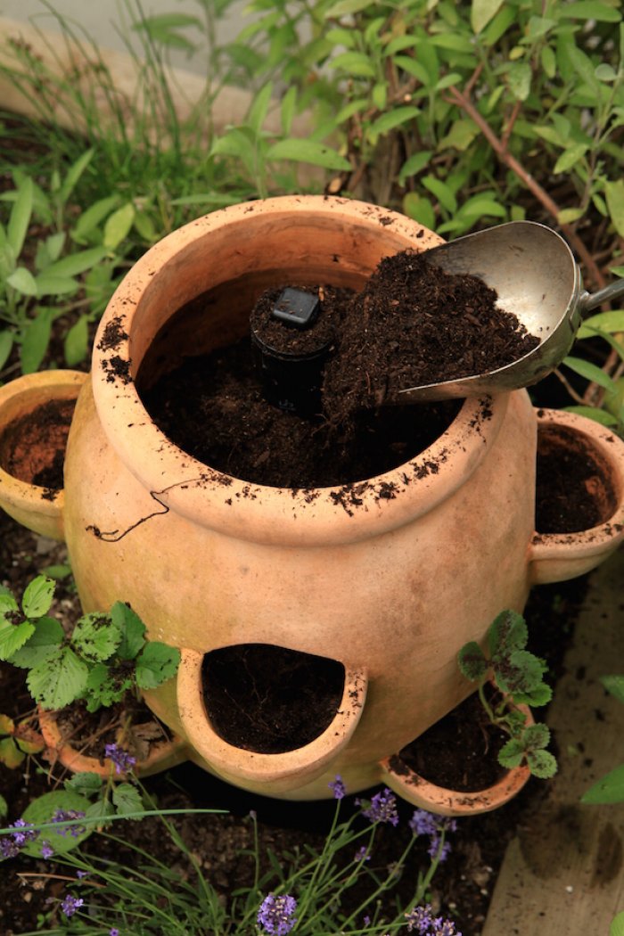 Make a DIY Watering Tube for Strawberry Planters Angie's List