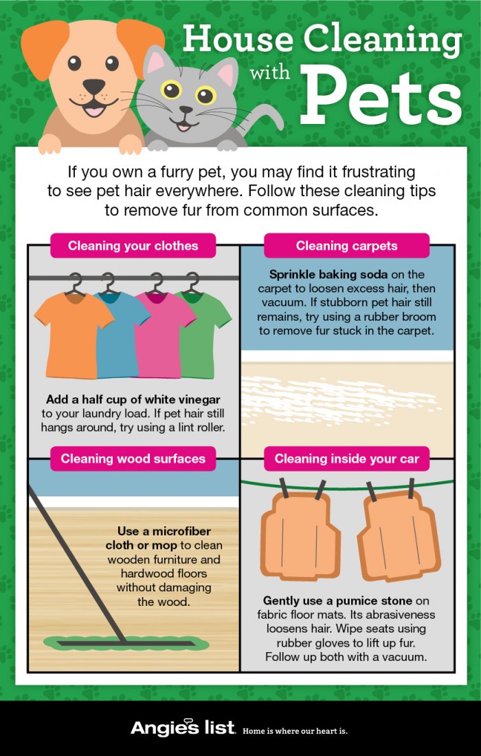 House Cleaning with Pets Angie's List